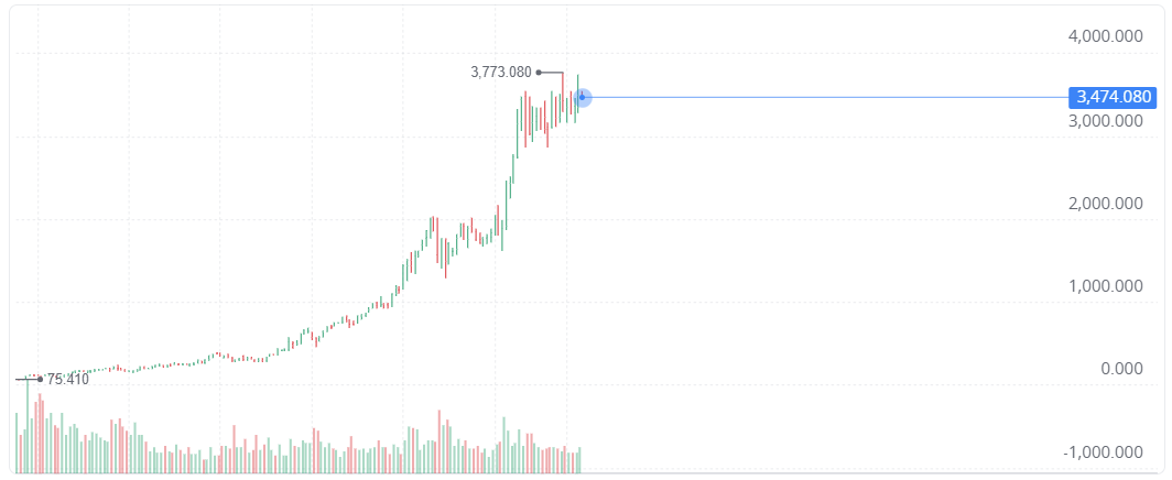 AMAZON GRAFICO